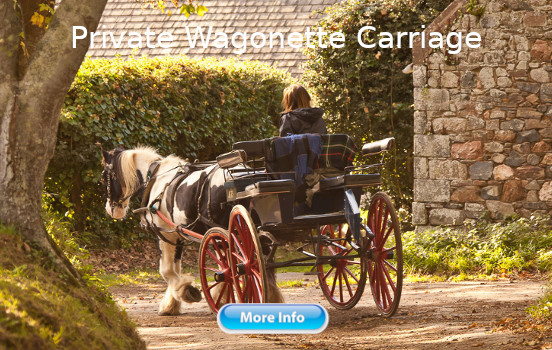 sark carriage rides